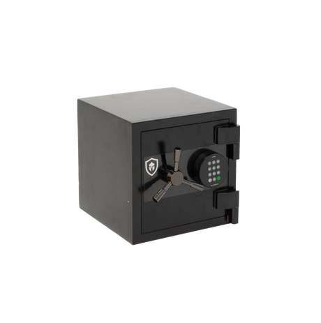 Sentinel Defender 1D Digital Safe (Online only)