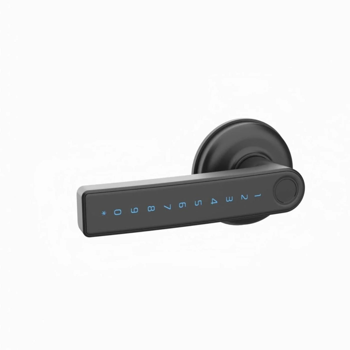 finger print door handle
