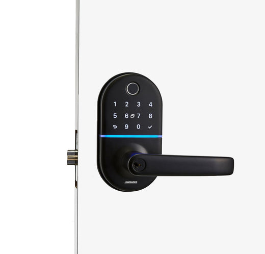 Fingerprint Door Handle