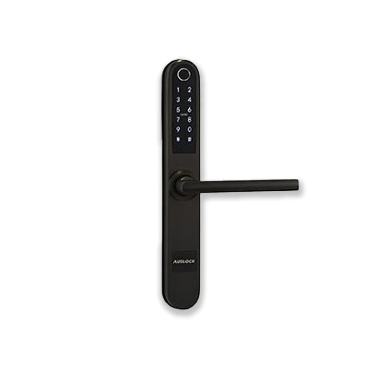 Slim Series Smart Door Lock (Ultra Slim 38mm) S31B