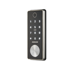 DIY Smart Locks