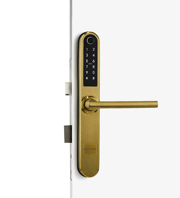 Slim Series Smart Door Lock (Ultra Slim 38mm) S31B