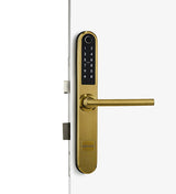 Slim Series Smart Door Lock (Ultra Slim 38mm) S31B
